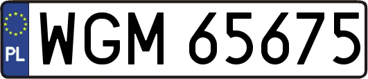 WGM65675