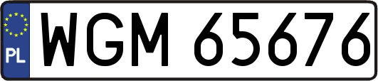 WGM65676