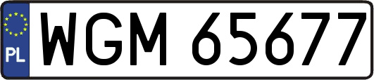 WGM65677
