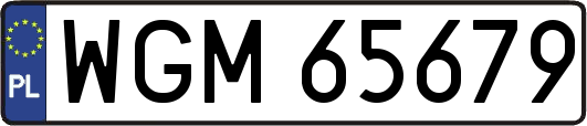 WGM65679