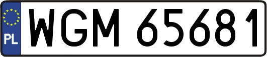 WGM65681