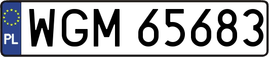 WGM65683