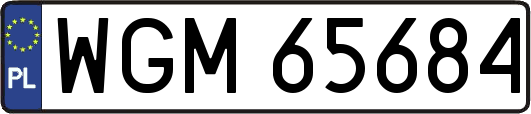 WGM65684