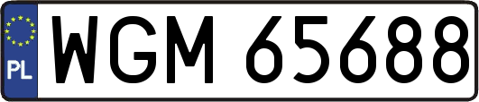 WGM65688