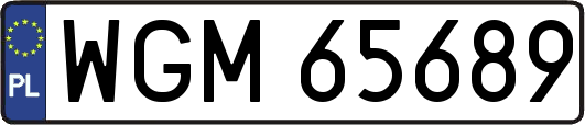 WGM65689