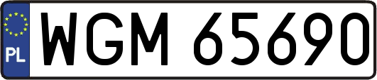 WGM65690