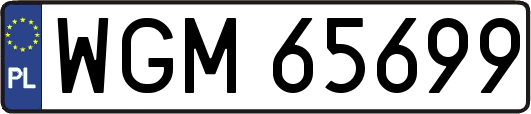 WGM65699