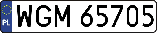 WGM65705