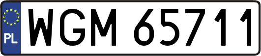 WGM65711