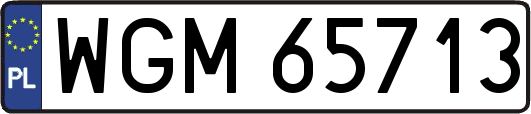 WGM65713