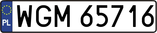WGM65716