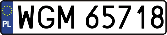 WGM65718
