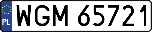 WGM65721