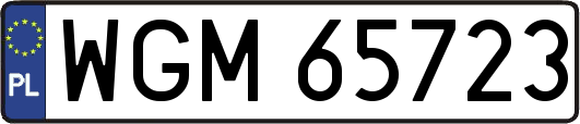 WGM65723