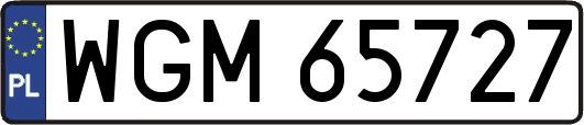 WGM65727