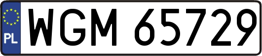 WGM65729