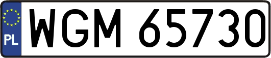WGM65730
