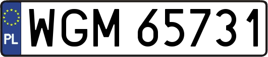 WGM65731