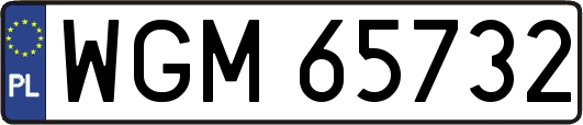 WGM65732