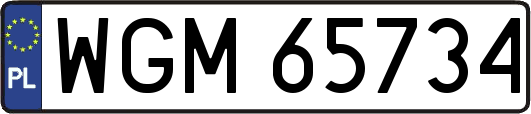 WGM65734