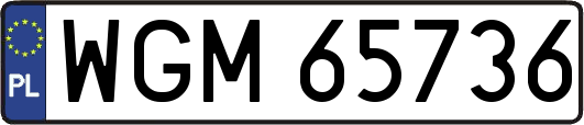 WGM65736