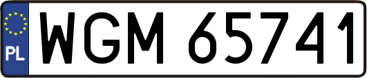 WGM65741