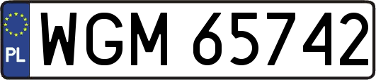 WGM65742