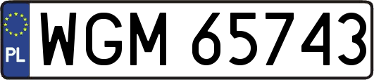 WGM65743