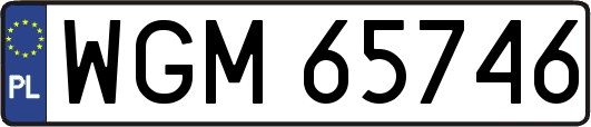 WGM65746