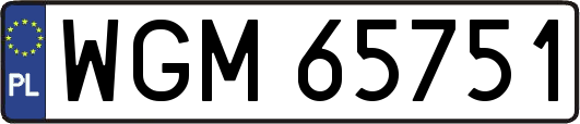 WGM65751