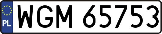 WGM65753