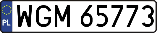 WGM65773