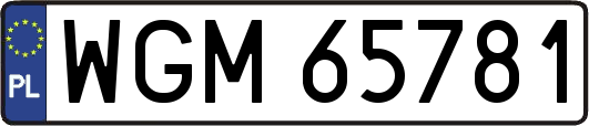 WGM65781