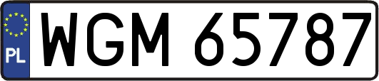 WGM65787