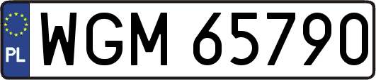 WGM65790