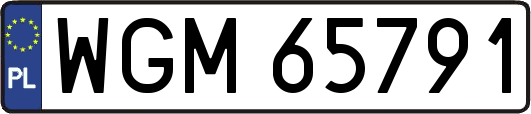 WGM65791