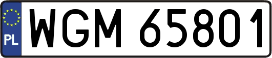 WGM65801