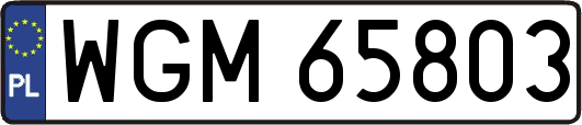 WGM65803