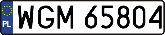 WGM65804