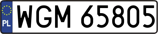 WGM65805