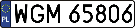 WGM65806