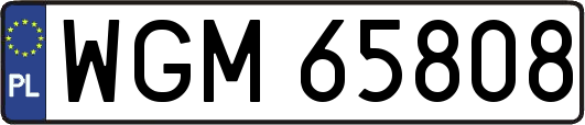 WGM65808