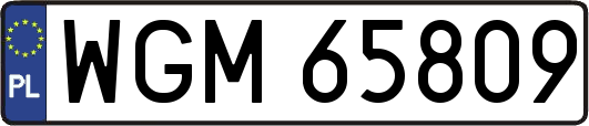 WGM65809
