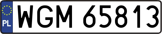 WGM65813