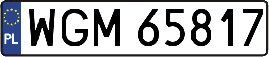 WGM65817