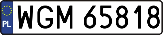 WGM65818