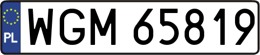 WGM65819