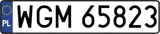 WGM65823
