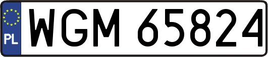 WGM65824