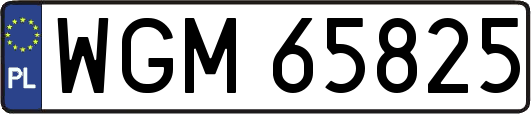 WGM65825